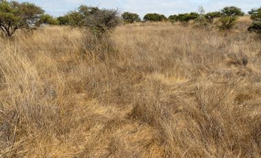 Regia Parcela  Condominio  Alto Pulin, Litueche