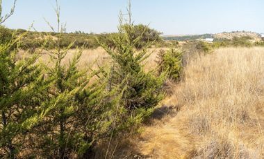 Regia Parcela  Condominio  Alto Pulin, Litueche