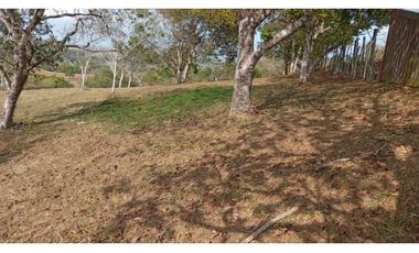TERRENO / LA CHORRERA / POTRERO GRANDE / 10.000 M2 / CERCADO