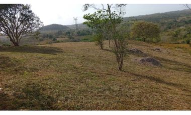 TERRENO / LA CHORRERA / POTRERO GRANDE / 10.000 M2 / CERCADO
