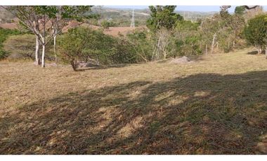 TERRENO / LA CHORRERA / POTRERO GRANDE / 10.000 M2 / CERCADO