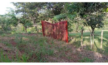 TERRENO / LA CHORRERA / POTRERO GRANDE / 10.000 M2 / CERCADO