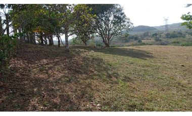 TERRENO / LA CHORRERA / POTRERO GRANDE / 10.000 M2 / CERCADO