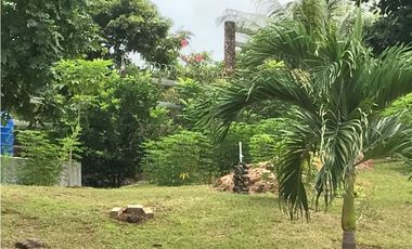 TERRENO / CHAME / SAJALICES / 4200M2 / ANEXO / BOHIO / PISCINA / RIO