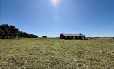 Campo en venta. 450 Has. en Gdor. Udaondo, Pdo. de Cañuelas