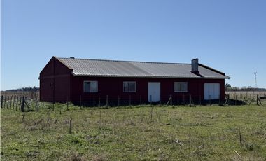 Campo en venta. 450 Has. en Gdor. Udaondo, Pdo. de Cañuelas