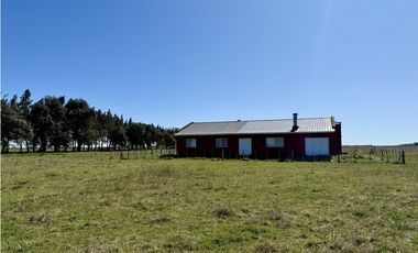 Campo en venta. 450 Has. en Gdor. Udaondo, Pdo. de Cañuelas