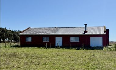 Campo en venta. 450 Has. en Gdor. Udaondo, Pdo. de Cañuelas