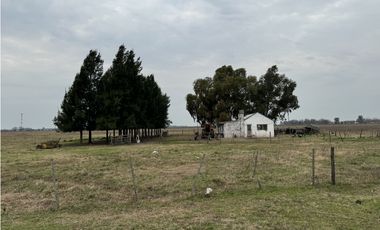 Campo en venta. 450 Has. en Gdor. Udaondo, Pdo. de Cañuelas