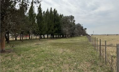 Campo en venta. 450 Has. en Gdor. Udaondo, Pdo. de Cañuelas