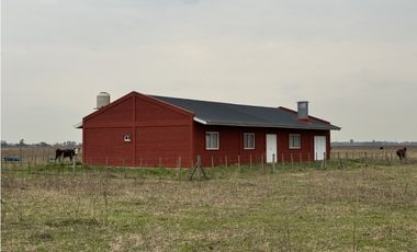 Campo en venta. 450 Has. en Gdor. Udaondo, Pdo. de Cañuelas