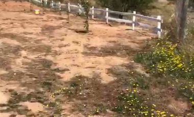 Sitio en Venta en Los Maitenes