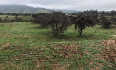 Sitio en Venta en Los Maitenes