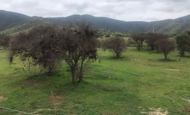 Sitio en Venta en Los Maitenes