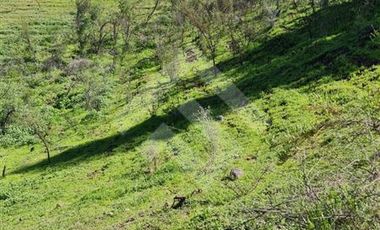 Parcela en Venta en Parcela Victoria, Lote 8-C2, Vicuña