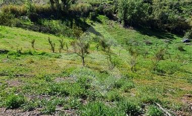 Parcela en Venta en Parcela Victoria, Lote 8-C2, Vicuña