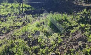 Parcela en Venta en Parcela Victoria, Lote 8-C2, Vicuña
