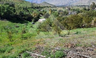 Parcela en Venta en Parcela Victoria, Lote 8-C2, Vicuña