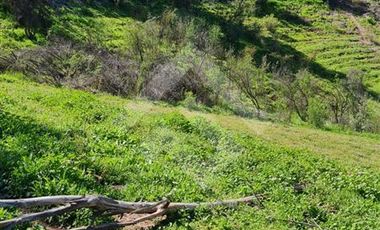Parcela en Venta en Parcela Victoria, Lote 8-C2, Vicuña