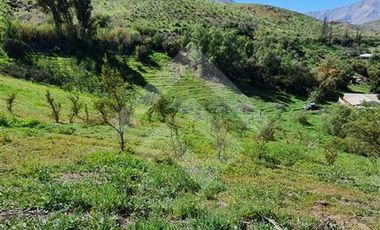 Parcela en Venta en Parcela Victoria, Lote 8-C2, Vicuña