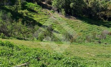 Terreno Construccion  en Venta en Parcela Victoria, Lote 8-C2, Vicuña