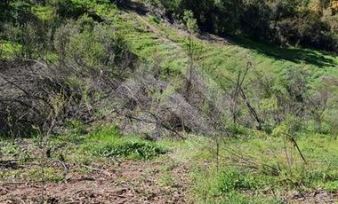Terreno Construccion  en Venta en Parcela Victoria, Lote 8-C2, Vicuña