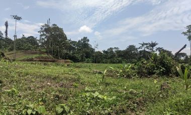 Lotes en Venta de 1000m2 sector Pedro Vicente Maldonado