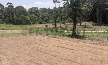 Lotes en Venta de 1000m2 sector Pedro Vicente Maldonado