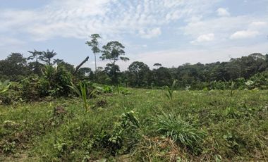 Lotes en Venta de 1000m2 sector Pedro Vicente Maldonado