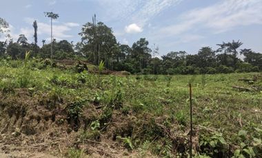 Lotes en Venta de 1000m2 sector Pedro Vicente Maldonado