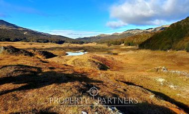 Patagonia, 295ha campo en Puerto Guadal