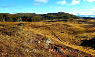Patagonia, 295ha campo en Puerto Guadal
