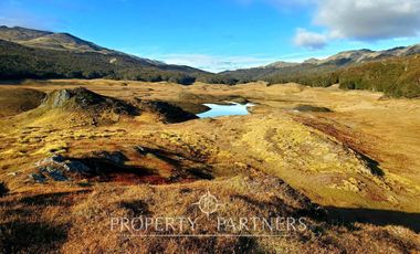 Patagonia, 295ha campo en Puerto Guadal