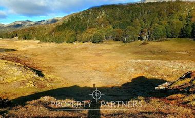 Patagonia, 295ha campo en Puerto Guadal