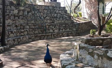 Terreno en Venta en la Calera Puebla