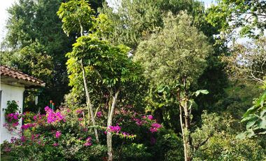 Casa típica Campestre 4 habitaciones   vía Rionegro - El Carmen