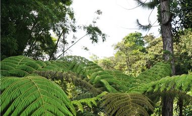 Casa típica Campestre 4 habitaciones   vía Rionegro - El Carmen