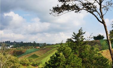 Casa típica Campestre 4 habitaciones   vía Rionegro - El Carmen