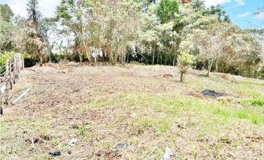 LOTE 7.950 M² EN VEREDA LOS PINOS, RIONEGRO