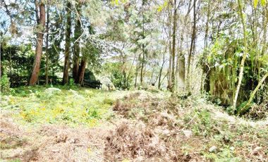 LOTE 7.950 M² EN VEREDA LOS PINOS, RIONEGRO