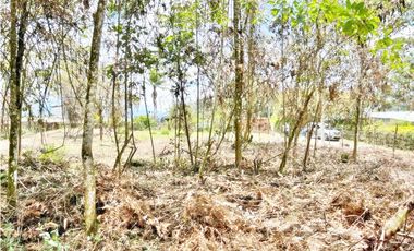 LOTE 7.950 M² EN VEREDA LOS PINOS, RIONEGRO