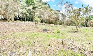 LOTE 7.950 M² EN VEREDA LOS PINOS, RIONEGRO