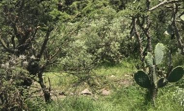 Terreno en Venta en Tepejí del Río, Hgo