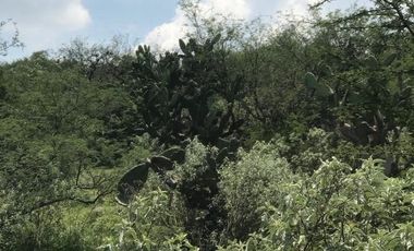 Terreno en Venta en Tepejí del Río, Hgo