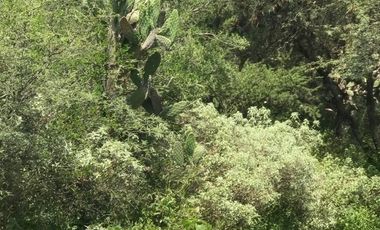 Terreno en Venta en Tepejí del Río, Hgo