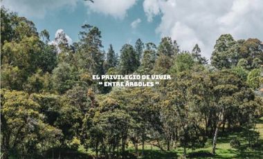 Venta lote parcelación antioquia retiro fizebad represa rebajado