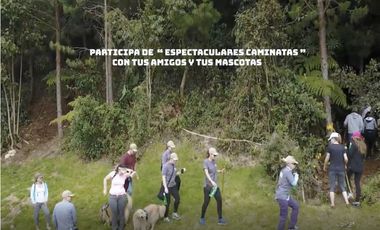 Venta lote parcelación antioquia retiro fizebad represa rebajado