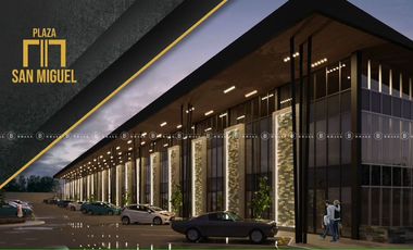 LOCAL COMERCIAL  AL NORTE,  EN PLAZA SAN MIGUEL, L1