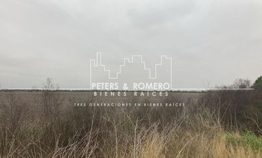 Terreno en Venta en Tamaulipas Carrertera  San Fernando