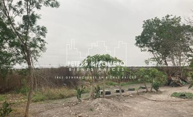 Terreno en Venta en Tamaulipas Carrertera  San Fernando